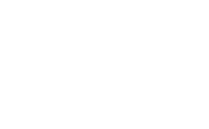 Big Bowl Logo