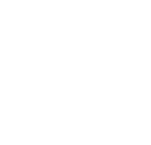 Dave and Buster’s Logo