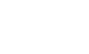 Neiman-Marcus Logo