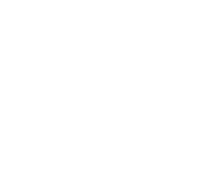 Stir Crazy Logo