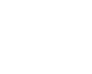 Stir Crazy Logo