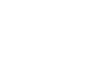 Superior Grill Logo