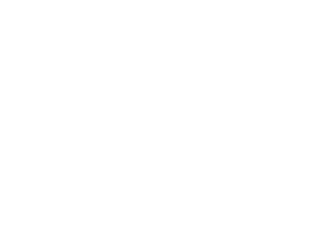 Superior Grill Logo