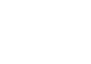 Weber Grill Logo