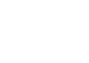 Weber Grill Logo