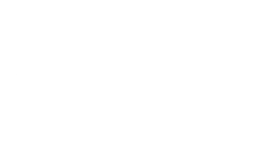 Wegmans Logo