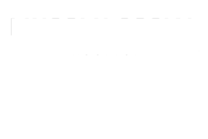 Lincoln Social Logo